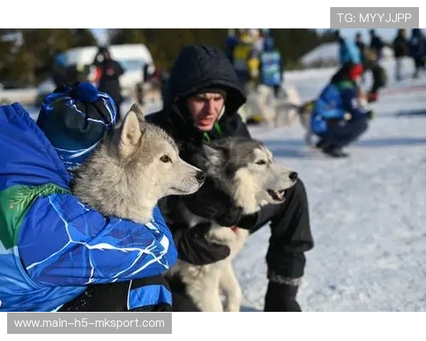雪橇锦标：俄罗斯队稳居金牌榜，突破纪录在望！，俄罗斯雪橇犬
